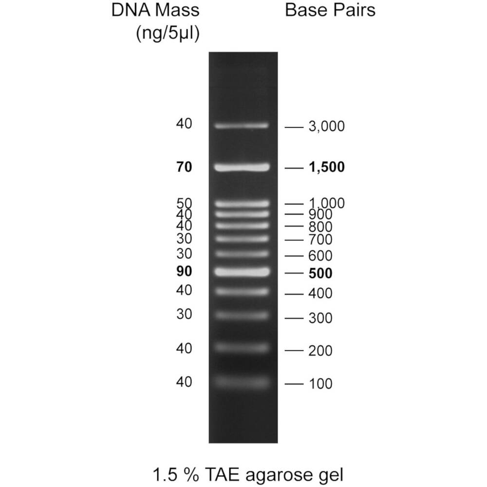 100bp DNA Ladder, 100-3000bp, 500uL